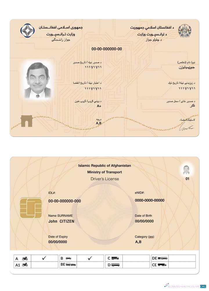 download Afghanistan electronic driving license 2019 present